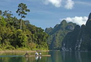 Cultuur en Jungle van Thailand