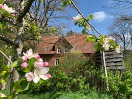 Bauernhof mit Pferden, Schafen und Kindern