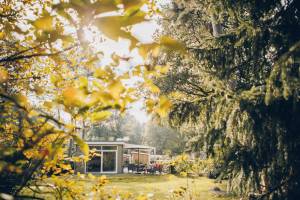 Boterbloem Wellness Chalet | 4 personen
