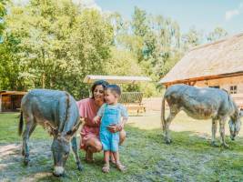 Vakantiepark Dierenbos