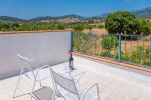 Ses Planes (Ca Na Faustina)