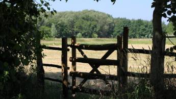 Aufenthalt in einem Safari-Dachzelt, umgeben von viel Grün.