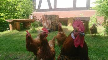 Campingplatz in Herzberg, Niedersachsen