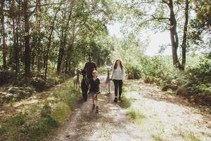 AlpaCamping auf 't Heeseinde in der Nähe von Limburg und Antwerp