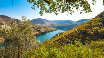 MS DOURO CRUISER - AFVAART PORTO