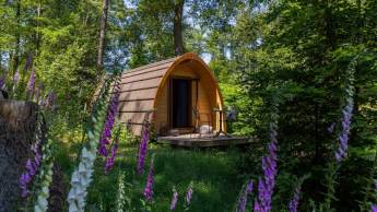 Buitenplaats / Beekhuizen