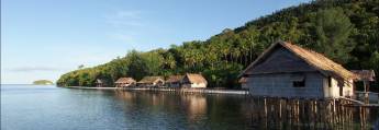 Bouwsteen 8 dagen duiken Kri Eco resort - Raja Ampat