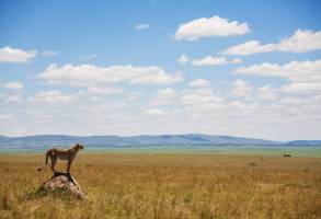 Safari Klassiek Kenia