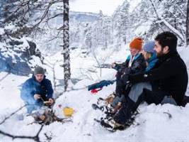 Scandic Scandic Voss