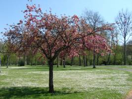 Camping Au Coeur De Vendôme