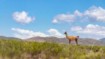 Impressions of North Argentina