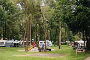 Comfortplaats Royaal