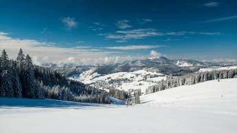 Hotel-Gasthof Ochsen