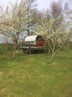 Der Planwagen