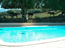 Camping U Sommalu