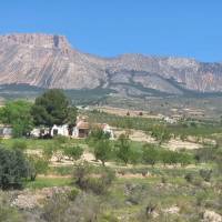 Zwischen Maulbeerbäumen und Olivenbäumen mit Blick auf die „Sier
