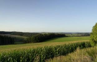 Campspace in Lauperath, Rheinland-Pfalz