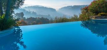 Oase der Ruhe unter den Olivenbäumen