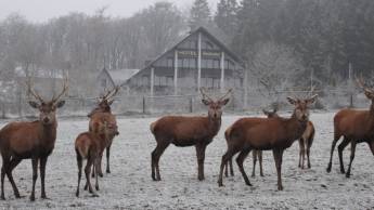 Hotel im Wald Heiderhof