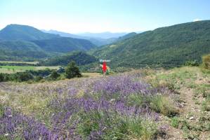 Panoramablick in Drome Provençale, Auvergne-Rhône-Alpes