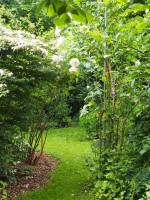 Ruhe und Grün, nahe dem Dorfzentrum und 7 km von der Touristenst