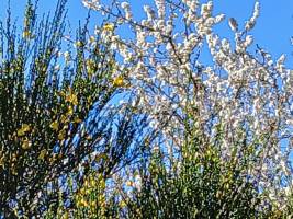 Schau nach oben, du wirst es finden.