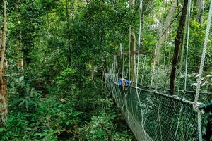 3-daagse bouwsteen Taman Negara