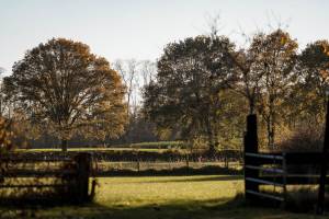 Campingplatz in Hengelo