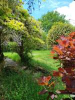 Campingplatz in Ouitero de rei, Galizien