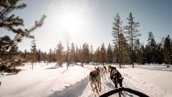 Kakslauttanen Arctic Resort