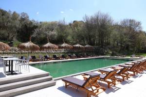 Olivia's Hill Resort