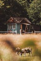 Pionierhaus: einzigartiges Tiny House in Alleinlage