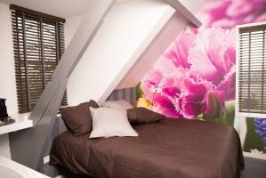 House of Tulips