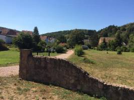 Bio-Weingut im Nordpfälzer Bergland
