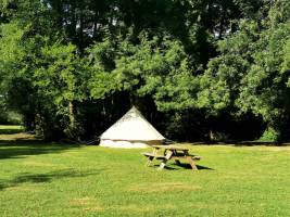 Kleiner, ruhiger, schattiger Campingplatz mitten in den Weinberg