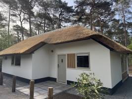 Bungalow Dennenburg