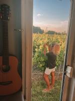 Terr-a-Safran: Entdecken Sie den biologischen Anbau von Safran u