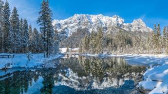 Das Dreiburgensee