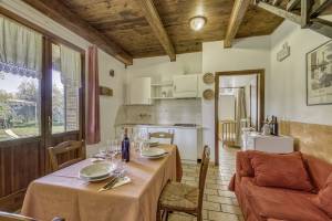 Cornflower apt with shared pool