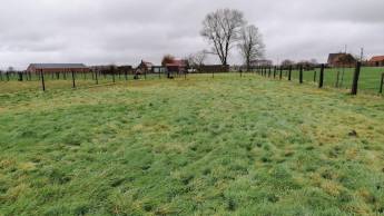 Wiesencamping in Koekelare