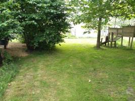 Schöner natürlicher Garten in ländlicher Umgebung.