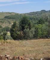 Campingplatz in Viseu, Viseu