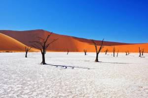 17 daagse rondreis - De highlights van Namibië