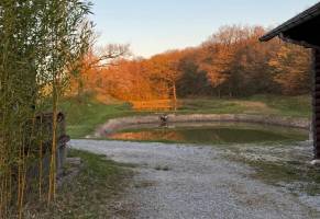 Campingplatz in Vodelee