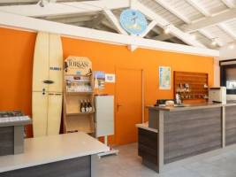 Camping Paradis - Albret