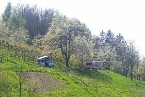 Bauernhof und Restaurant in Kappelrodeck