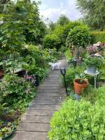 Geheimtipp inmitten einer Blumenfülle