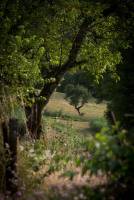 Campingplatz & Gästehaus 