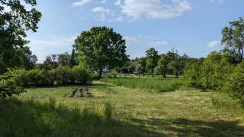 Sommerlaune - erlebe die Milchstraße!