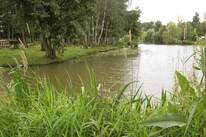 Camping Papillon Kinrooi